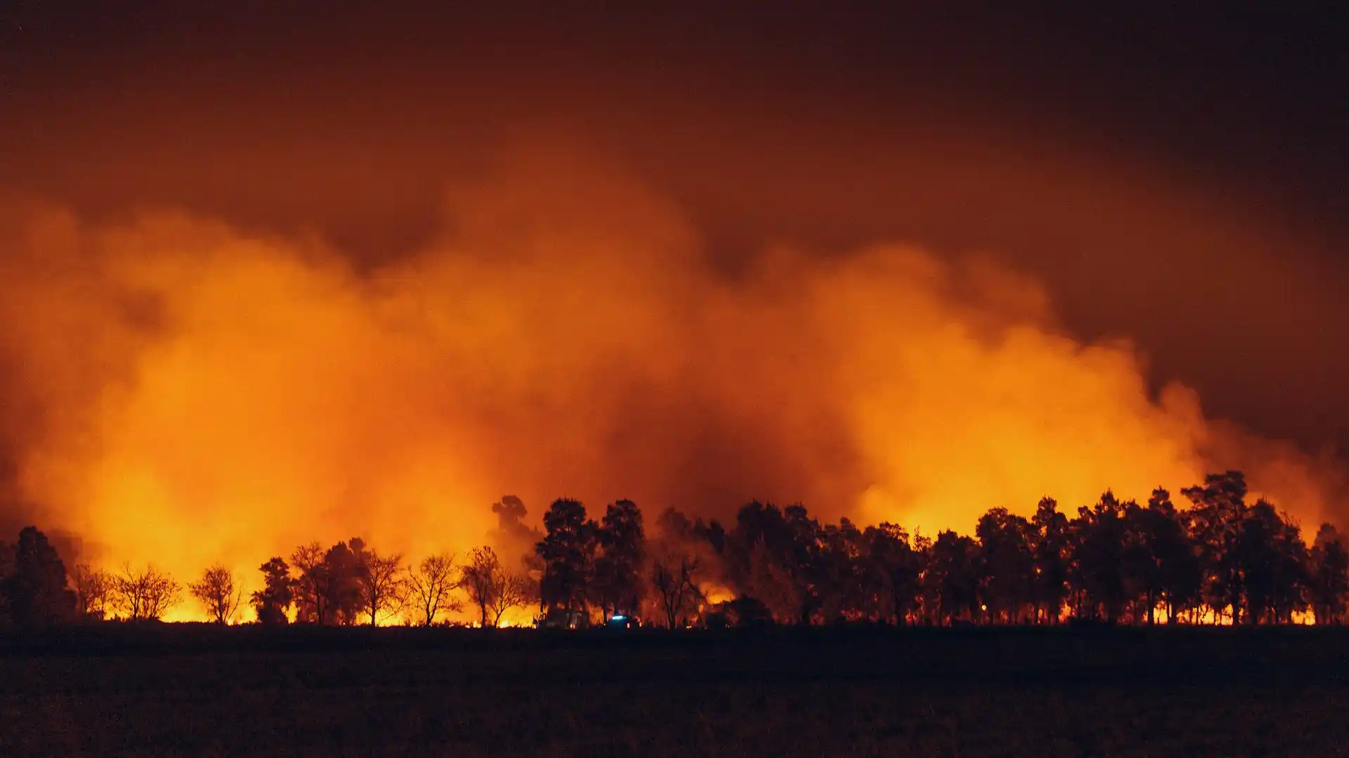Climate Change Keeps Wildfires Burning Through the Night